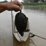 泰国新闻 水质严重污染，中资企业要背锅？-博彩天堂-博彩排名-博彩平台网